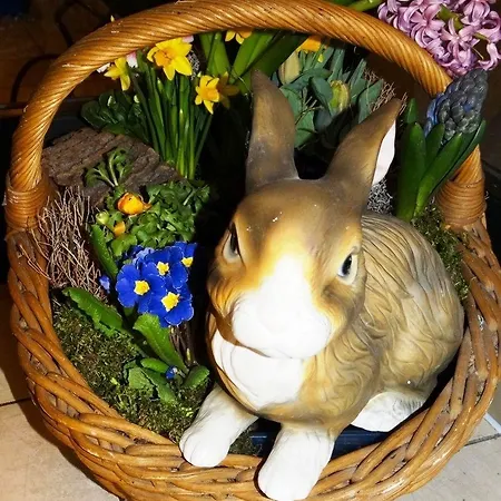 Noel Am Hauptbahnhof 3*