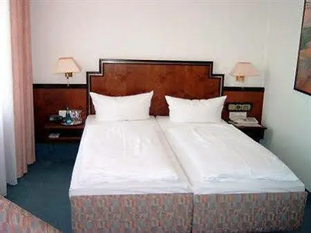 Kipping Dresden